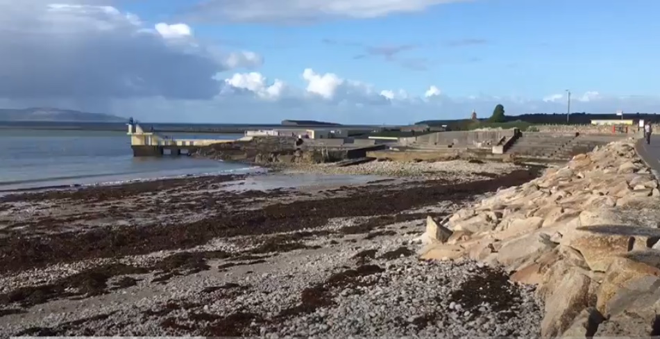 “Waste Not, Want”