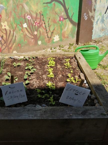 Our School Garden