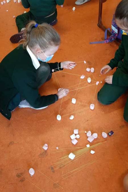 3rd Class partaking in Science Week